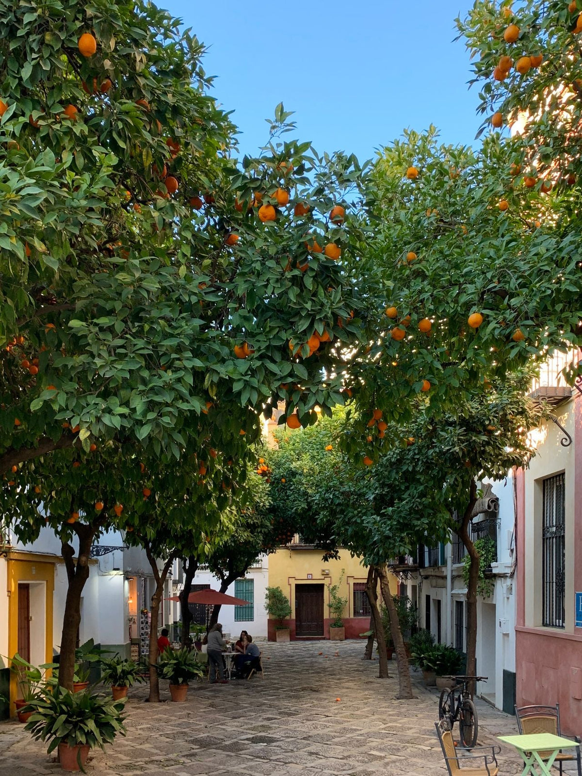 Calle de Sevilla con naranjos y azahar